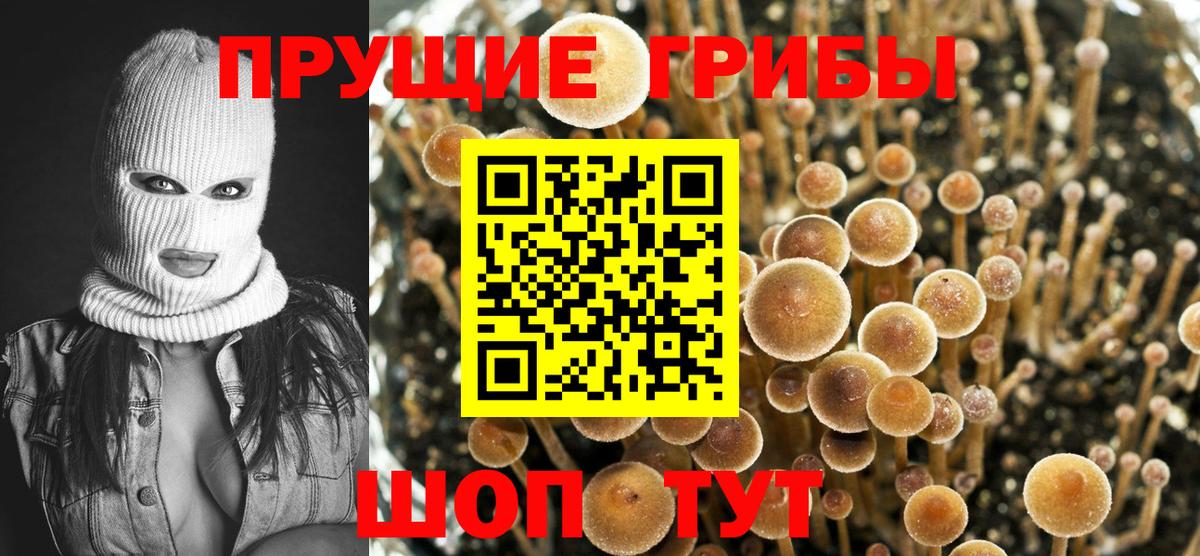 Псилоцибиновые грибы GOLDEN TEACHER  Вход с VPN  цена наркотик  Горячий Ключ 
