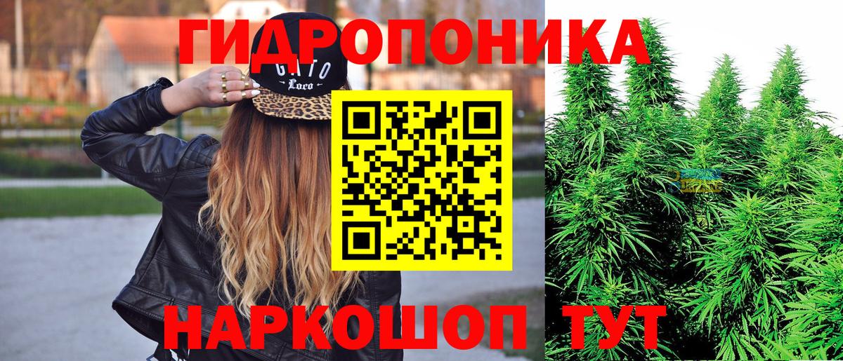 Марихуана план Горячий Ключ